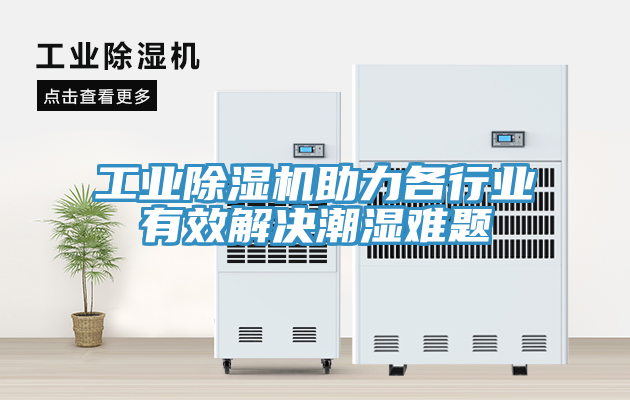工業蘑菇视频网站助力各行業有效解決潮濕難題