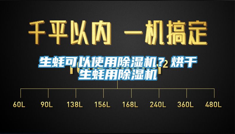 生蠔可以使用蘑菇视频网站？烘幹生蠔用蘑菇视频网站