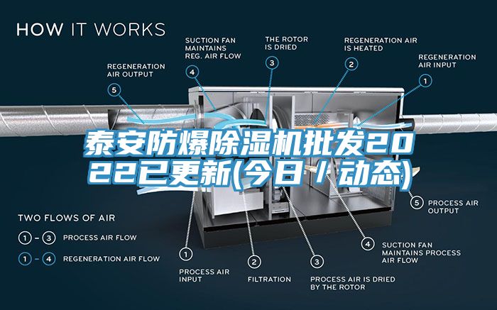 泰安防爆蘑菇视频网站批發2022已更新(今日／動態)
