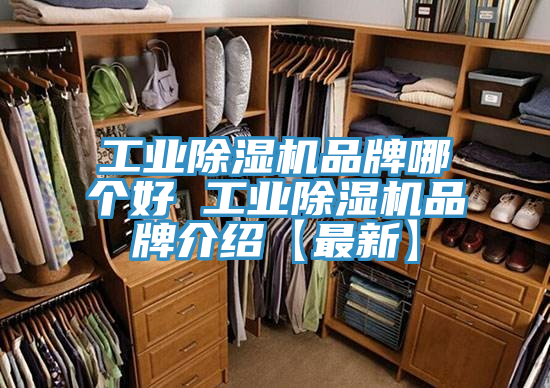 工業蘑菇视频网站品牌哪個好 工業蘑菇视频网站品牌介紹【最新】