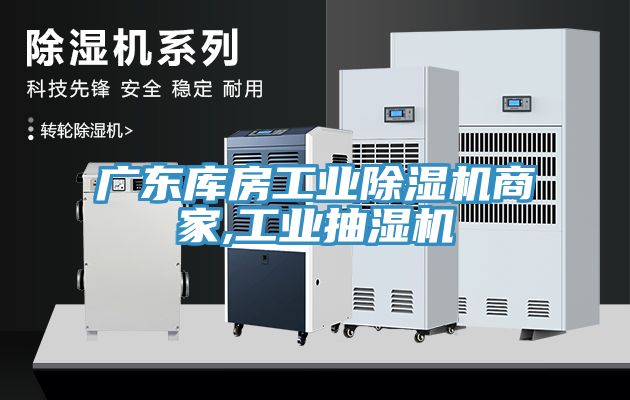 廣東庫房工業蘑菇视频网站商家,工業抽濕機