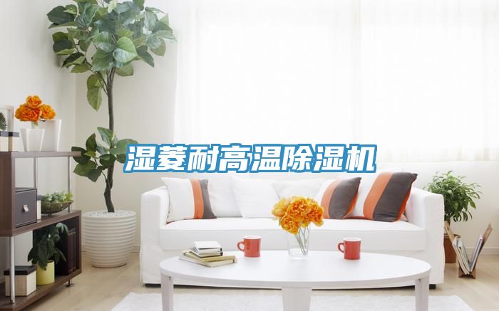 濕菱耐高溫蘑菇视频网站