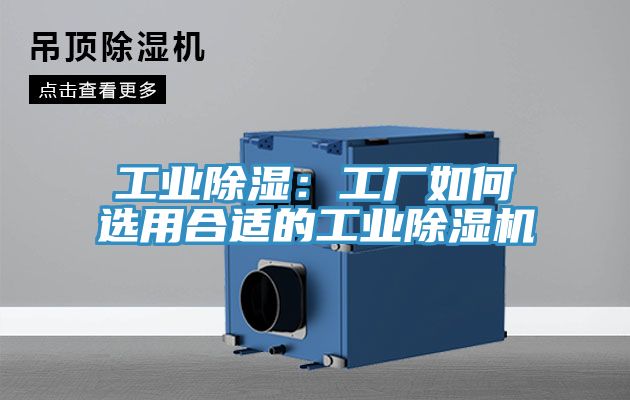 工業除濕：工廠如何選用合適的工業蘑菇视频网站