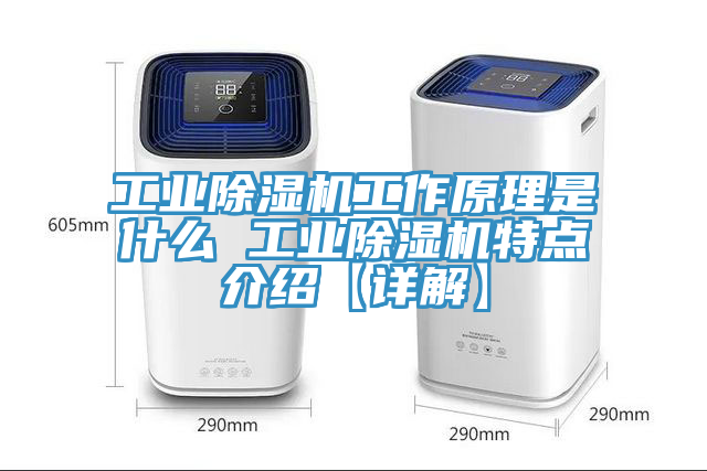 工業蘑菇视频网站工作原理是什麽 工業蘑菇视频网站特點介紹【詳解】