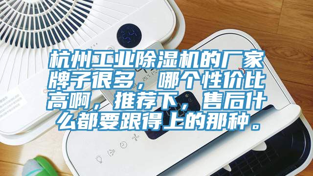 杭州工業蘑菇视频网站的廠家牌子很多，哪個性價比高啊，推薦下，售後什麽都要跟得上的那種。