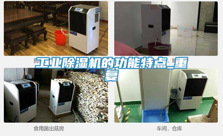 工業蘑菇视频网站的功能特點_重複
