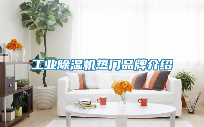 工業蘑菇视频网站熱門品牌介紹