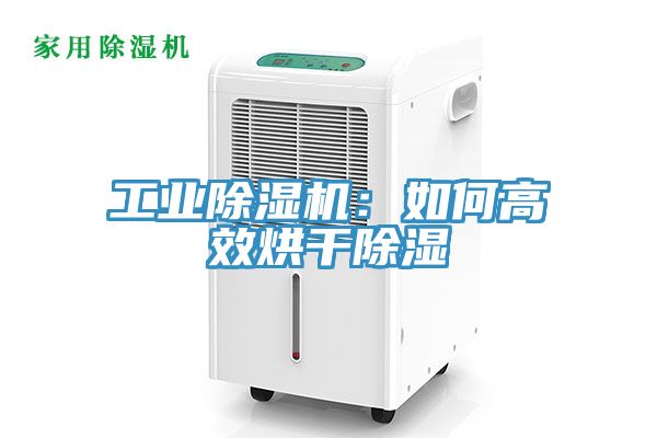 工業蘑菇视频网站：如何高效烘幹除濕