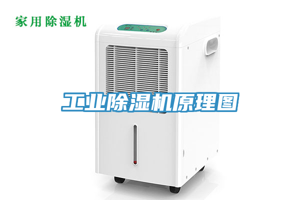 工業蘑菇视频网站原理圖