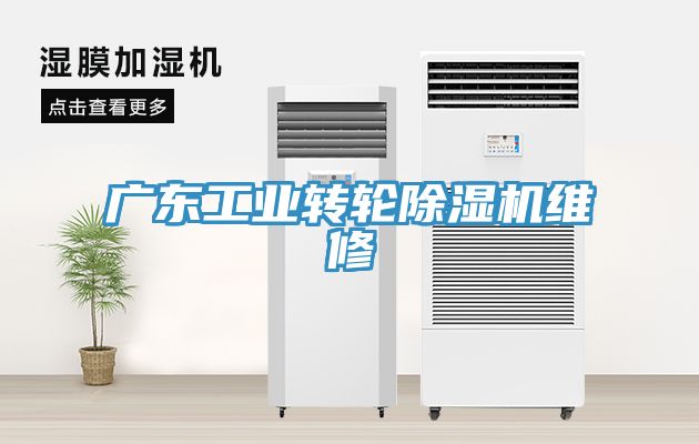 廣東工業轉輪蘑菇视频网站維修