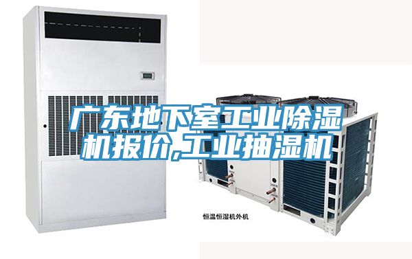 廣東地下室工業蘑菇视频网站報價,工業抽濕機