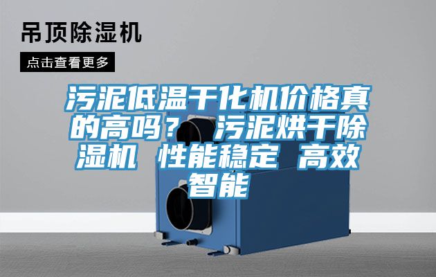 汙泥低溫幹化機價格真的高嗎？ 汙泥烘幹蘑菇视频网站 性能穩定 高效智能