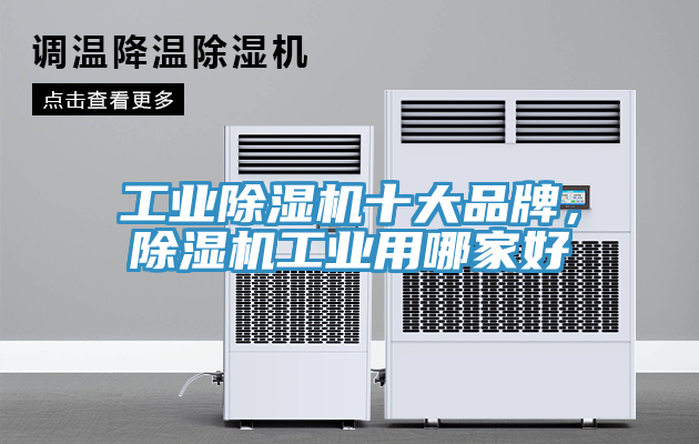 工業蘑菇视频网站十大品牌，蘑菇视频网站工業用哪家好