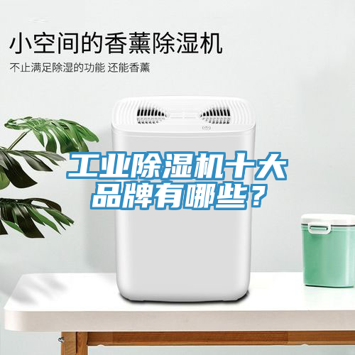 工業蘑菇视频网站十大品牌有哪些？