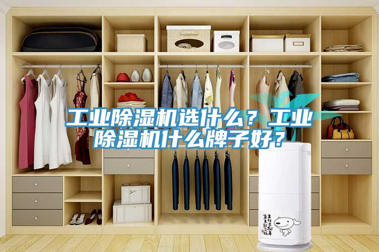 工業蘑菇视频网站選什麽？工業蘑菇视频网站什麽牌子好？