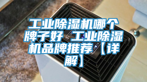 工業蘑菇视频网站哪個牌子好 工業蘑菇视频网站品牌推薦【詳解】