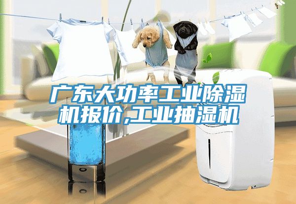 廣東大功率工業蘑菇视频网站報價,工業抽濕機