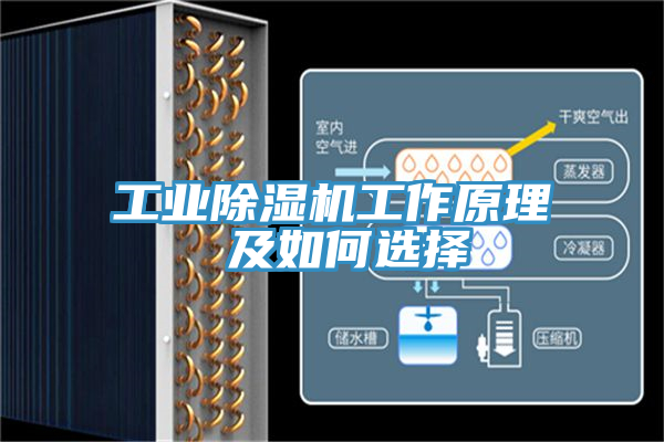 工業蘑菇视频网站工作原理 及如何選擇