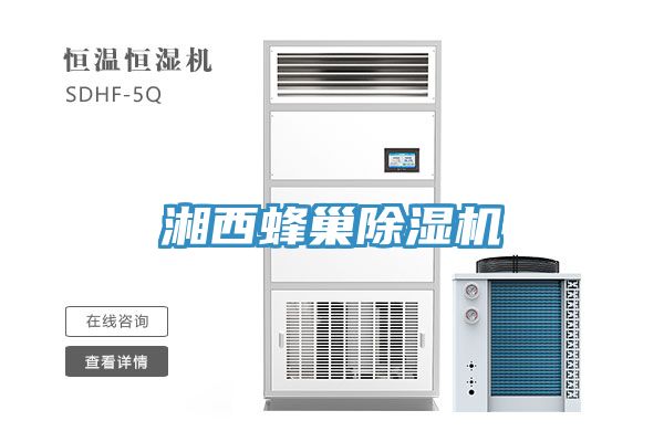 湘西蜂巢蘑菇视频网站
