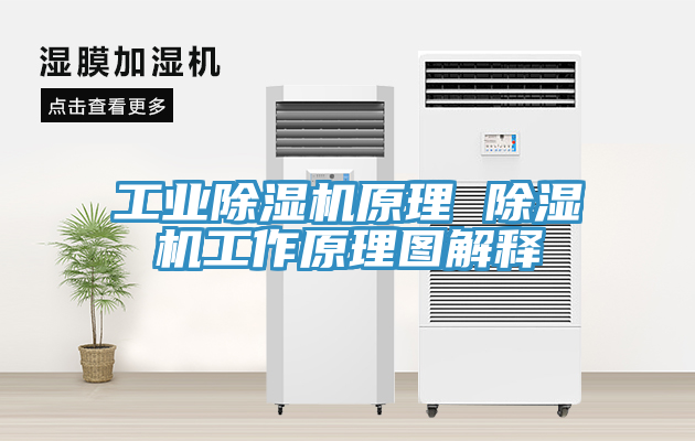 工業蘑菇视频网站原理 蘑菇视频网站工作原理圖解釋