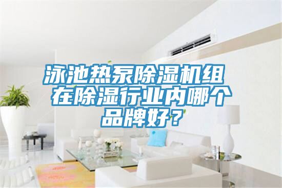 泳池熱泵蘑菇视频网站組 在除濕行業內哪個品牌好？