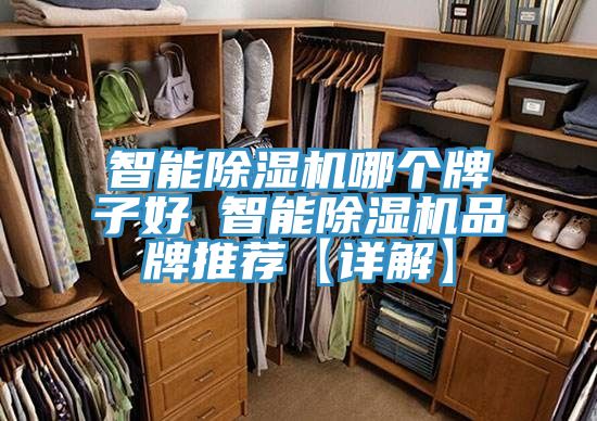 智能蘑菇视频网站哪個牌子好 智能蘑菇视频网站品牌推薦【詳解】