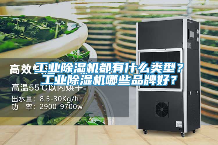 工業蘑菇视频网站都有什麽類型？工業蘑菇视频网站哪些品牌好？