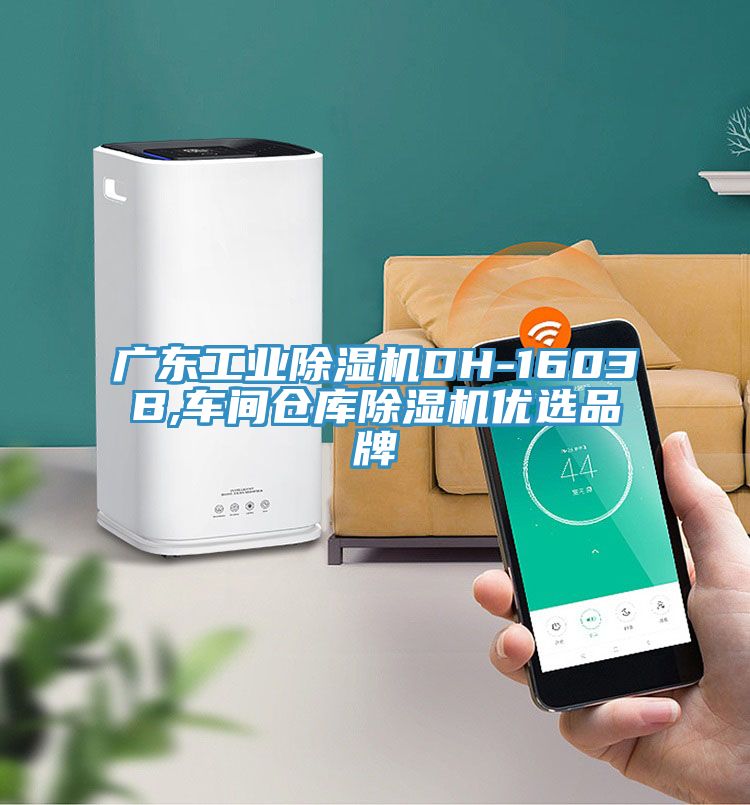 廣東工業蘑菇视频网站DH-1603B,車間倉庫蘑菇视频网站優選品牌
