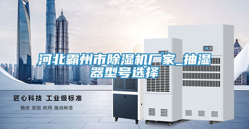 河北霸州市蘑菇视频网站廠家_抽濕器型號選擇