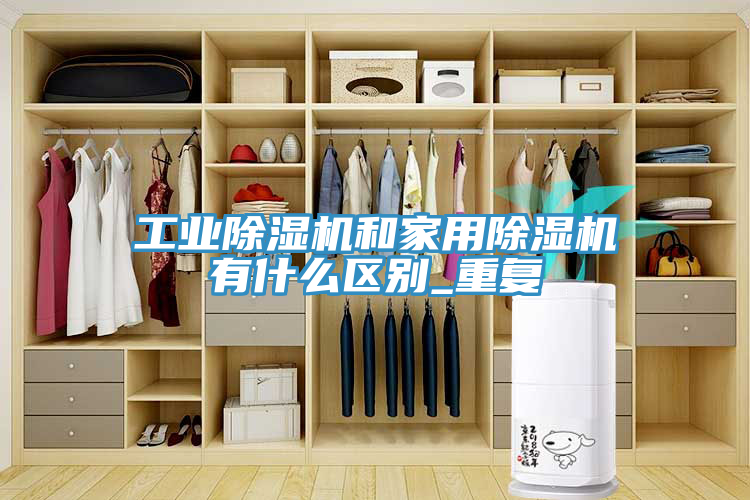 工業蘑菇视频网站和家用蘑菇视频网站有什麽區別_重複