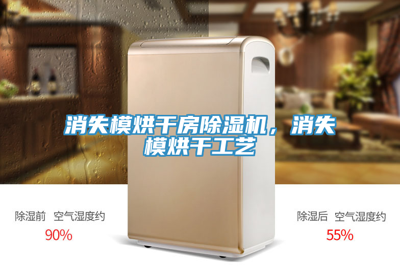 消失模烘幹房蘑菇视频网站，消失模烘幹工藝