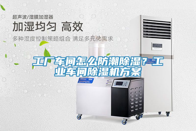 工廠車間怎麽防潮除濕？工業車間蘑菇视频网站方案