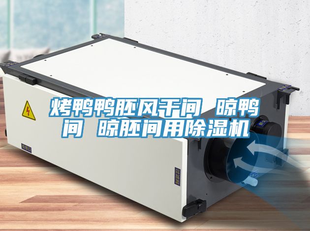 烤鴨鴨胚風幹間 晾鴨間 晾胚間用蘑菇视频网站