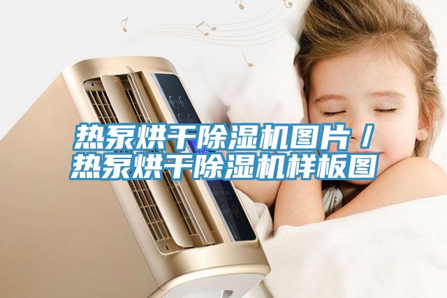 熱泵烘幹蘑菇视频网站圖片／熱泵烘幹蘑菇视频网站樣板圖