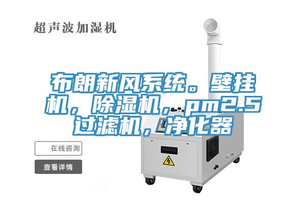 布朗新風係統。壁掛機，蘑菇视频网站，pm2.5過濾機，淨化器