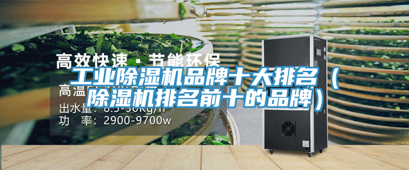 工業蘑菇视频网站品牌十大排名（蘑菇视频网站排名前十的品牌）
