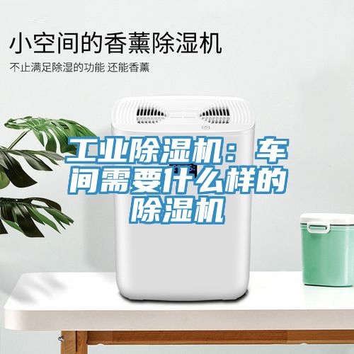 工業蘑菇视频网站：車間需要什麽樣的蘑菇视频网站