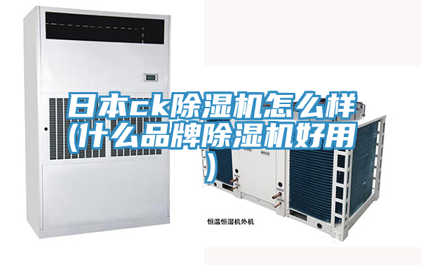 日本ck蘑菇视频网站怎麽樣(什麽品牌蘑菇视频网站好用)