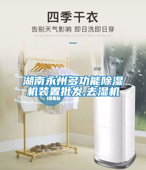 湖南永州多功能蘑菇视频网站裝置批發,去濕機