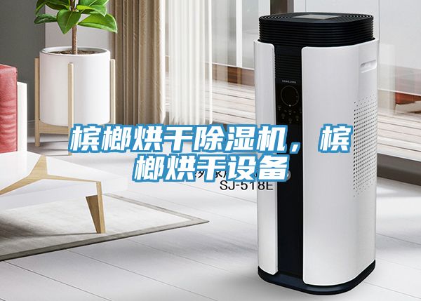 檳榔烘幹蘑菇视频网站，檳榔烘幹設備