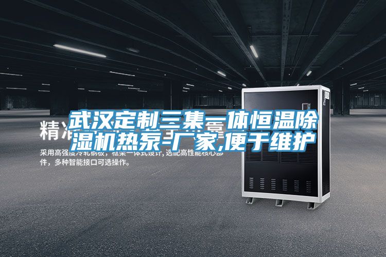 武漢定製三集一體恒溫蘑菇视频网站熱泵-廠家,便於維護