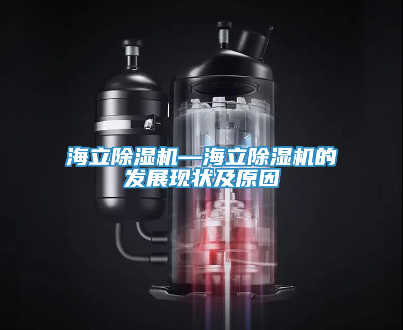 海立蘑菇视频网站—海立蘑菇视频网站的發展現狀及原因