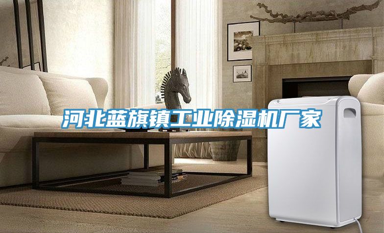 河北藍旗鎮工業蘑菇视频网站廠家