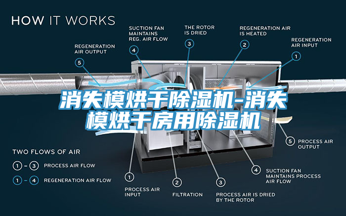 消失模烘幹蘑菇视频网站-消失模烘幹房用蘑菇视频网站