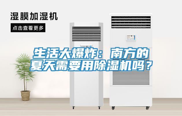生活大爆炸：南方的夏天需要用蘑菇视频网站嗎？