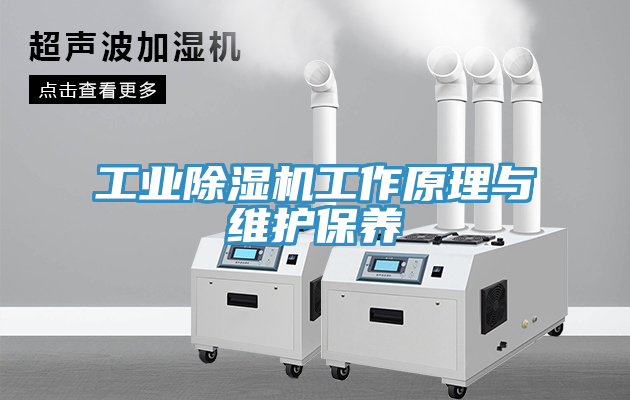 工業蘑菇视频网站工作原理與維護保養