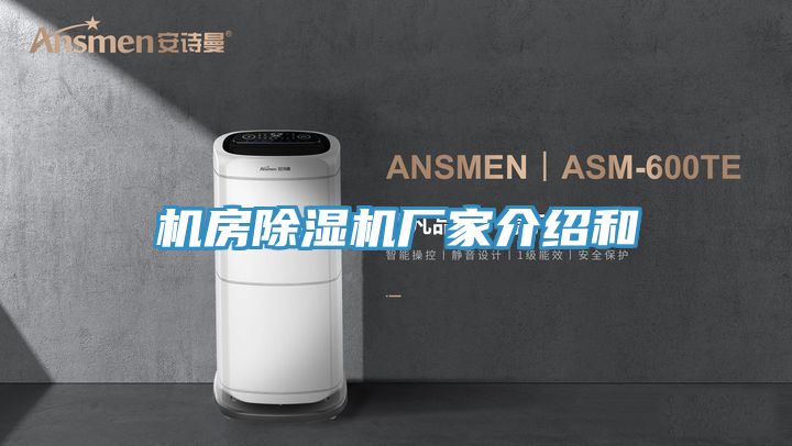機房蘑菇视频网站廠家介紹和