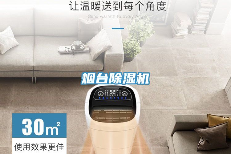 煙台蘑菇视频网站