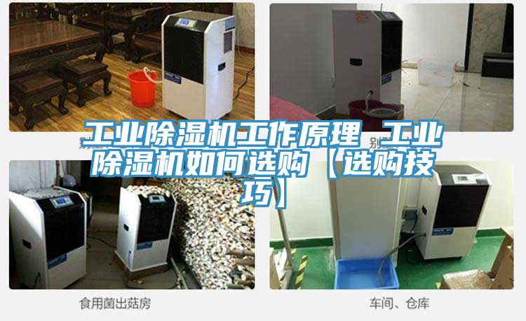 工業蘑菇视频网站工作原理 工業蘑菇视频网站如何選購【選購技巧】