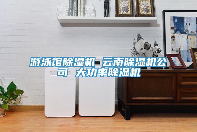 遊泳館蘑菇视频网站 雲南蘑菇视频网站公司 大功率蘑菇视频网站